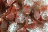 Natural Red Quartz Crystals - Morocco #70762-2